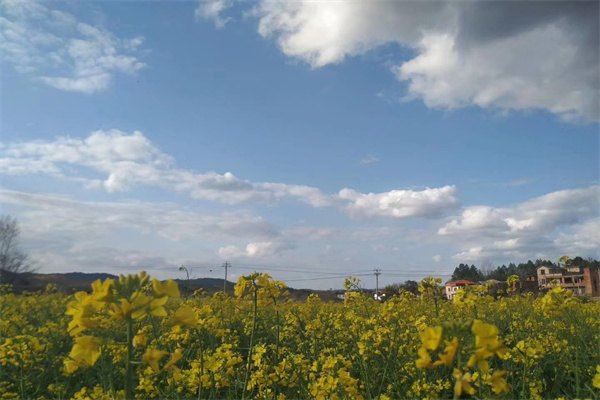 去新加坡留学的话需要哪些条件？