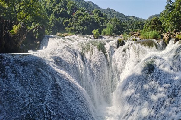 新加坡PSB学院专业如何选？