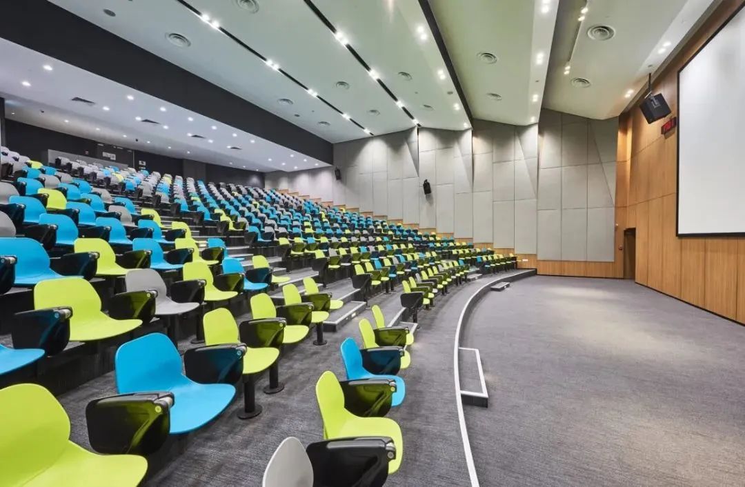 1737354868885771.jpg 307.jpg